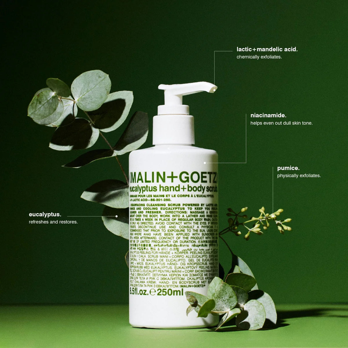 Eucalyptus Hand & Body Scrub